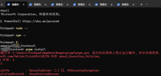 pnpm : 无法加载文件 C:\Users\Thinkpad\AppData\Roaming\npm\pnpm.ps1，因为在此系统上禁止运行脚本